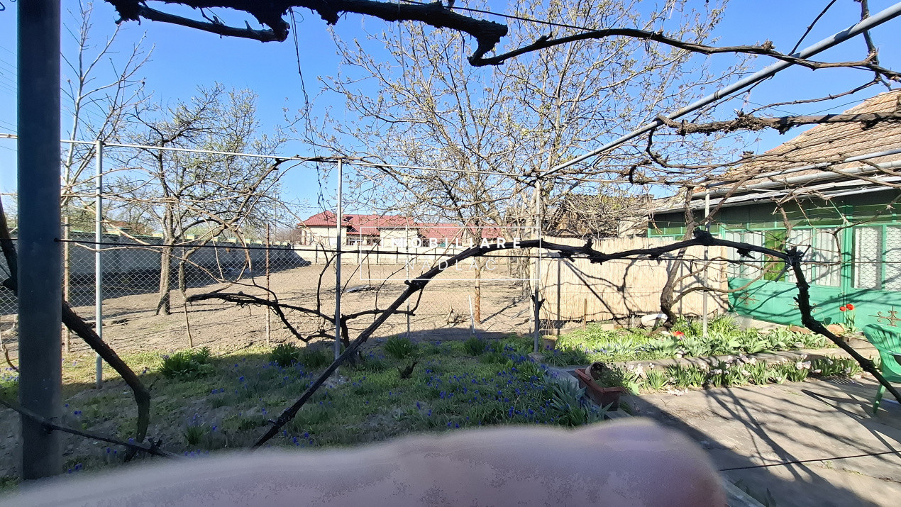  CASĂ MARE în Nădlac cu teren generos 2095mp