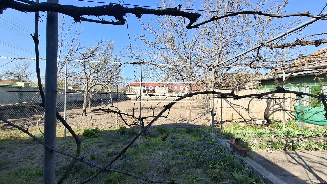  CASĂ MARE în Nădlac cu teren generos 2095mp