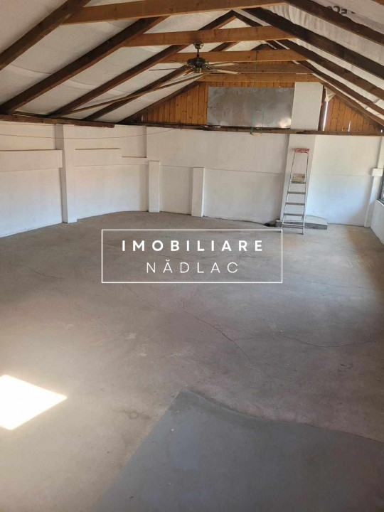 ViLA de LUX  cu un DESIGN deosebit in centrul orasului Nadlac