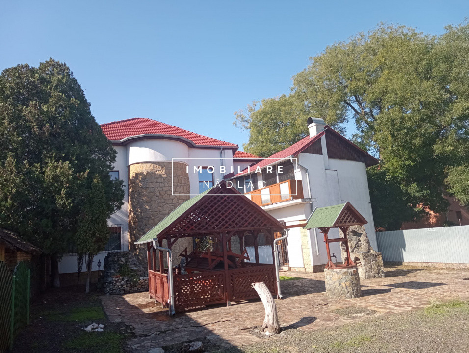 ViLA de LUX  cu un DESIGN deosebit in centrul orasului Nadlac