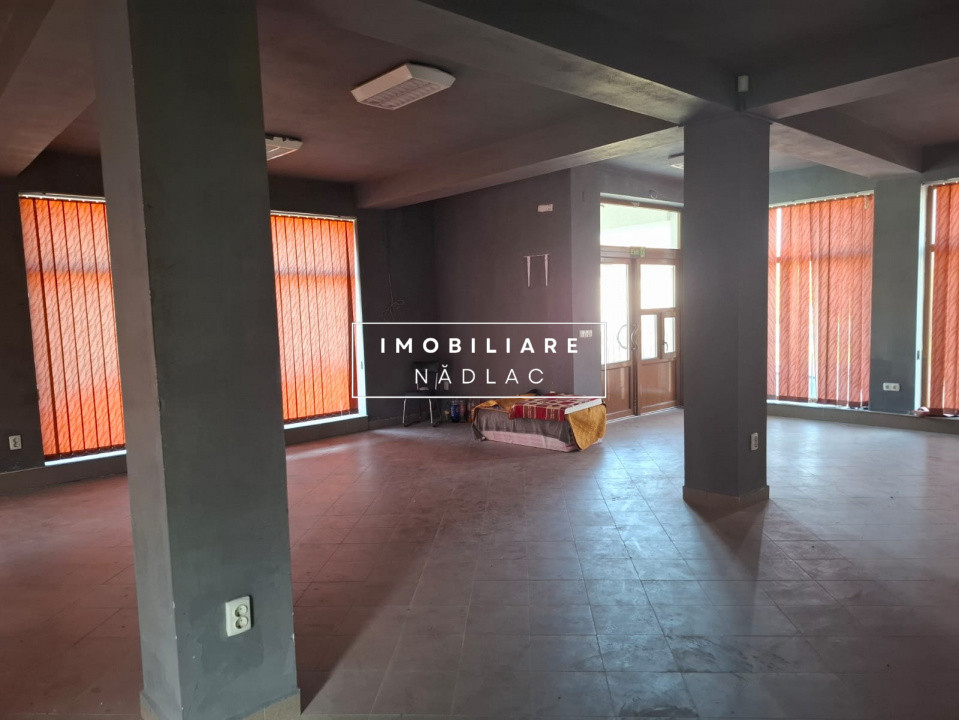 VILA S+P+E+M  cu SPATIU COMERCIAL  central in Nadlac
