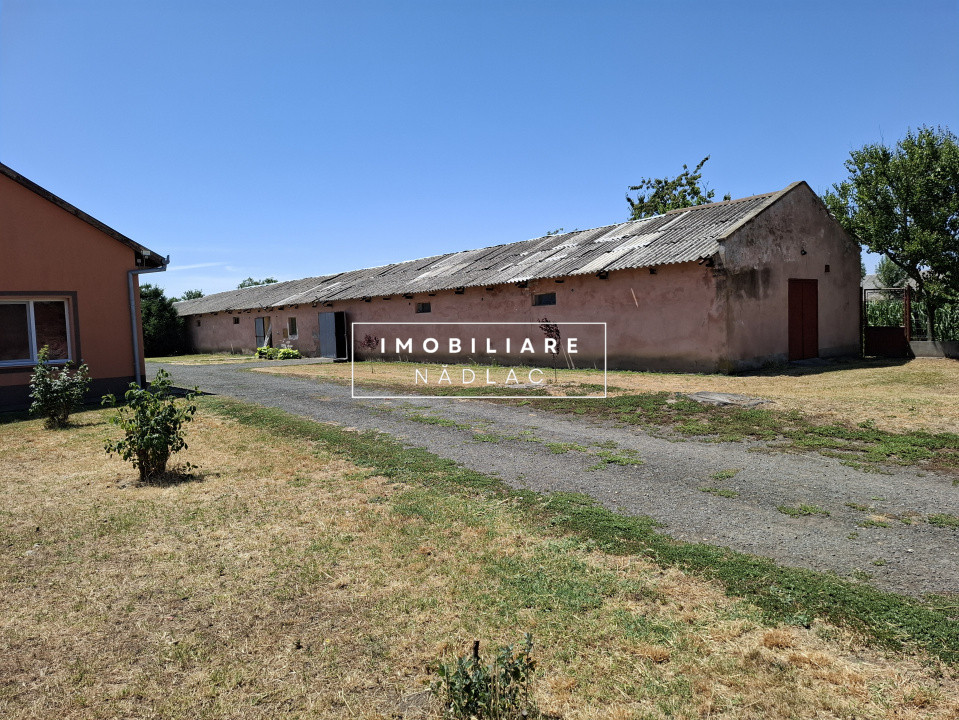 Proprietate mixtă de vânzare în Nădlac – Casă modernă + hală/grajd + teren mare