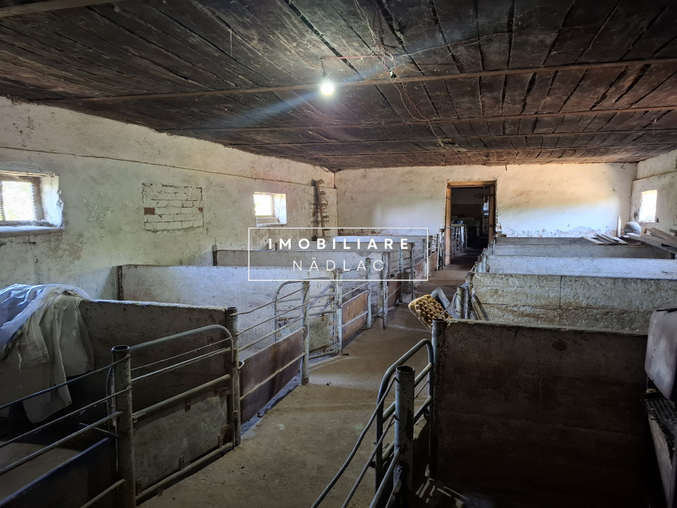 Proprietate mixtă de vânzare în Nădlac – Casă modernă + hală/grajd + teren mare
