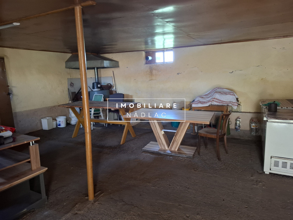 Hală/Grajd + teren mare + Casă modernă - Proprietate mixtă de vânzare în Nădlac 