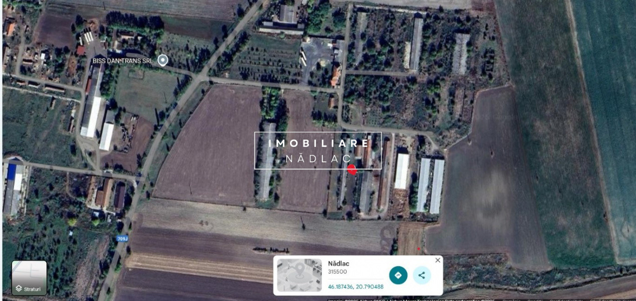 Hală/Grajd + teren mare + Casă modernă - Proprietate mixtă de vânzare în Nădlac 