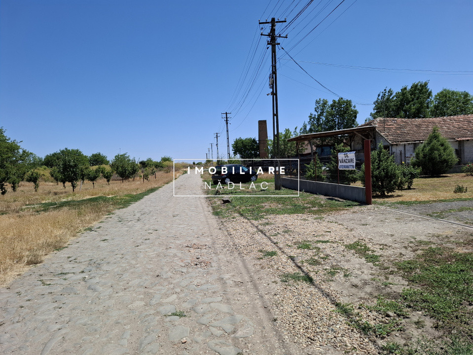 Grajd pentru animale in Nadlac