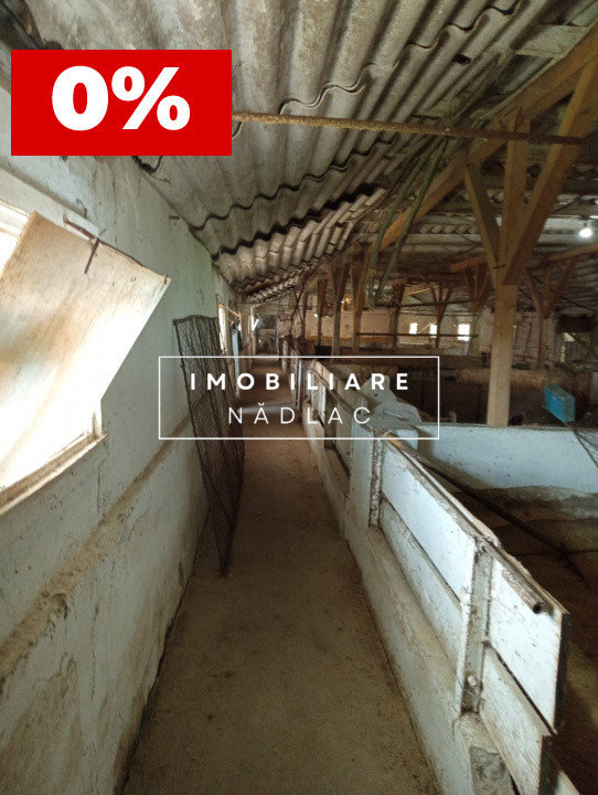 Grajd pentru animale in Nadlac