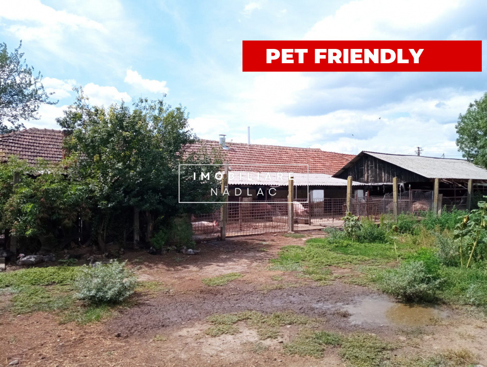Grajd pentru animale in Nadlac