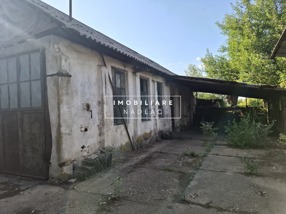 Ferma cu teren agricol de vanzare in Nadlac