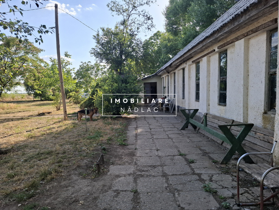 Ferma cu teren agricol de vanzare in Nadlac