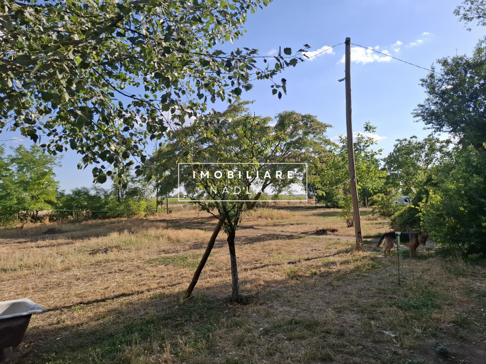 Ferma cu teren agricol de vanzare in Nadlac