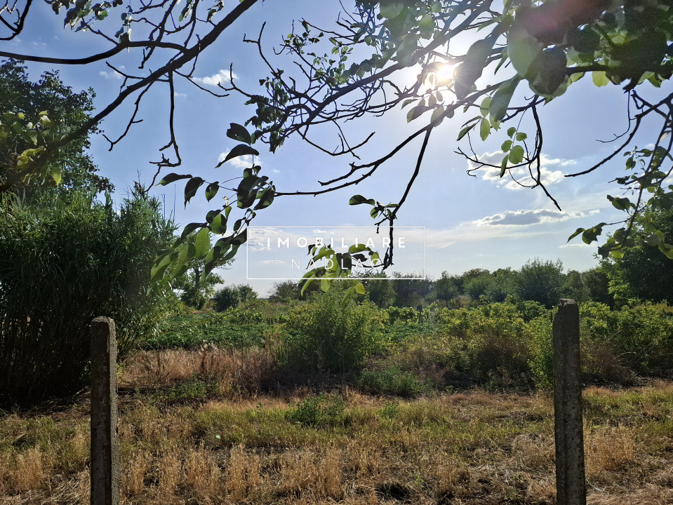 Ferma cu teren agricol de vanzare in Nadlac