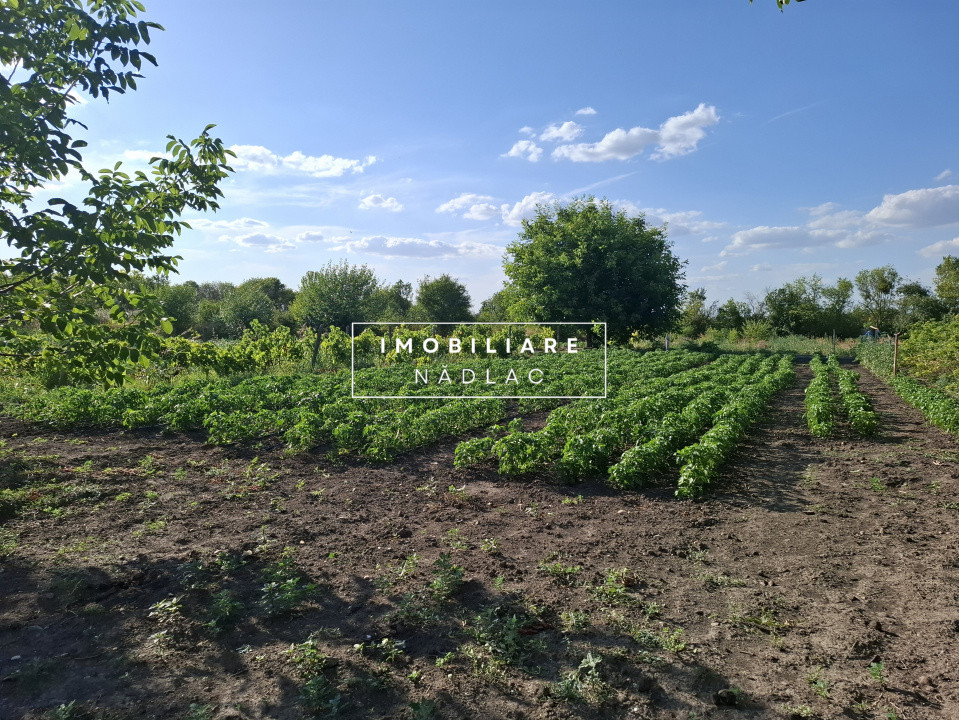 Ferma cu teren agricol de vanzare in Nadlac