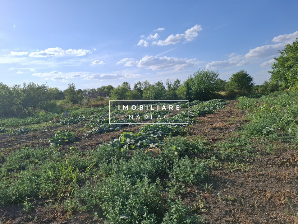 Ferma cu teren agricol de vanzare in Nadlac