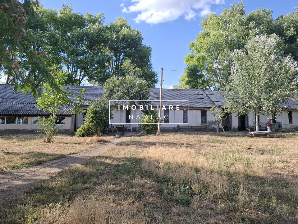 Ferma cu teren agricol de vanzare in Nadlac