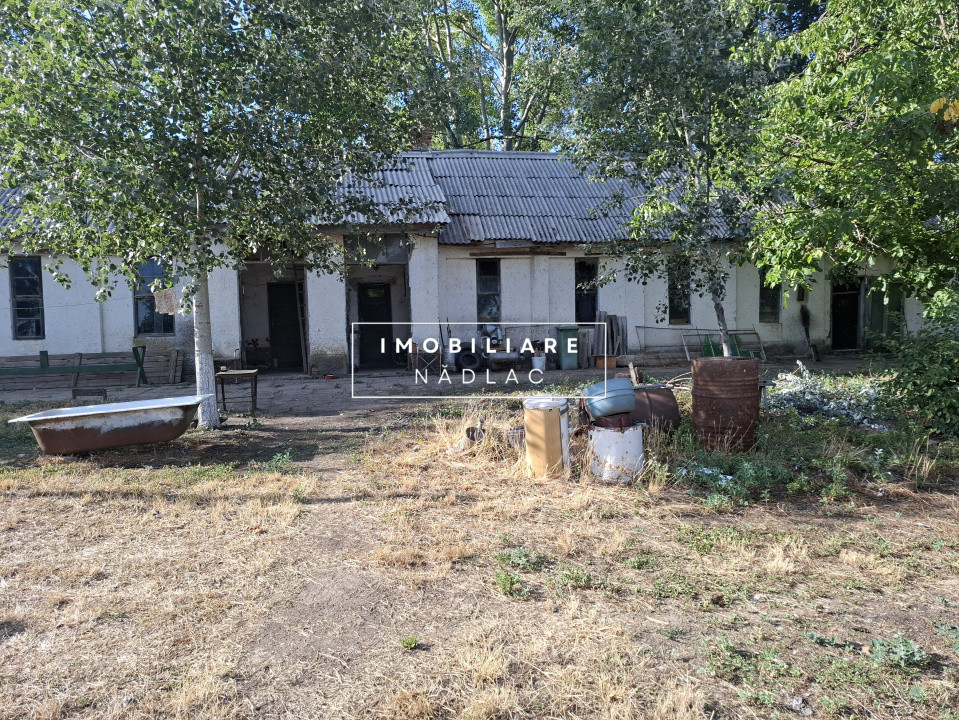 Ferma cu teren agricol de vanzare in Nadlac