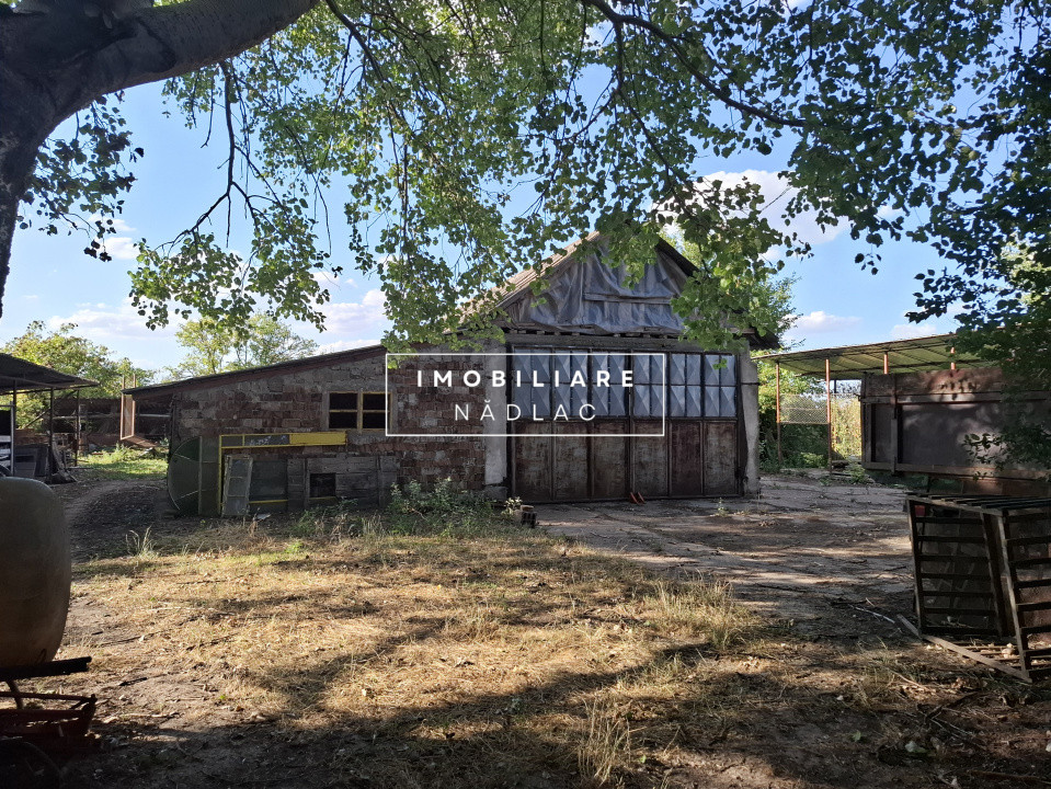 Ferma cu teren agricol de vanzare in Nadlac
