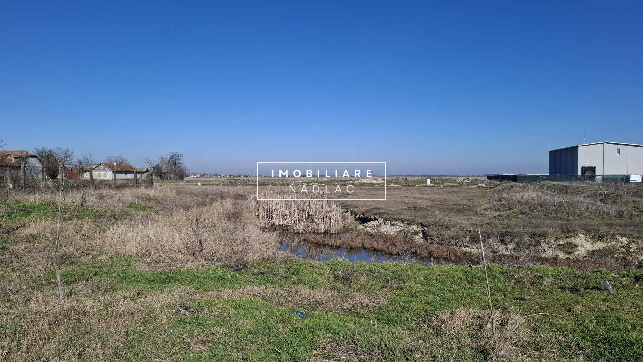 Doua parcele de teren intravilan 5562 mp pentru hala producție, atelier, depozit