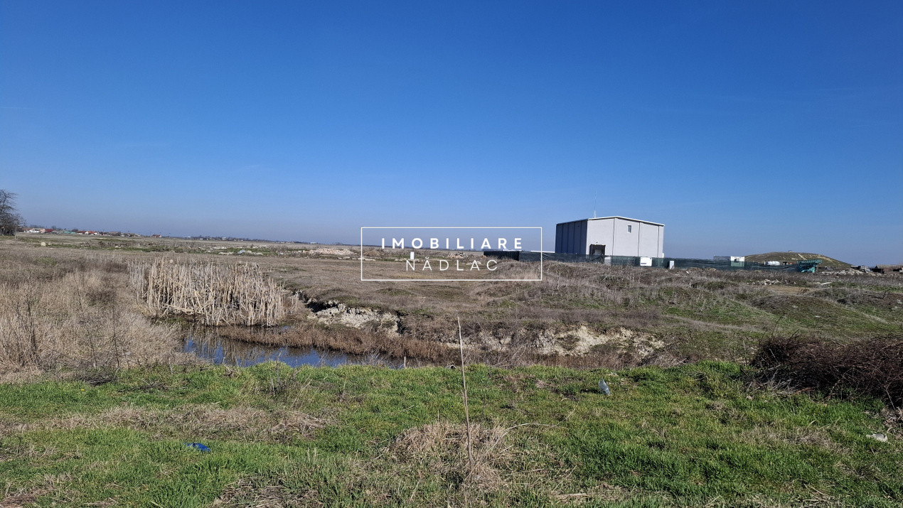 Doua parcele de teren intravilan 5562 mp pentru hala producție, atelier, depozit