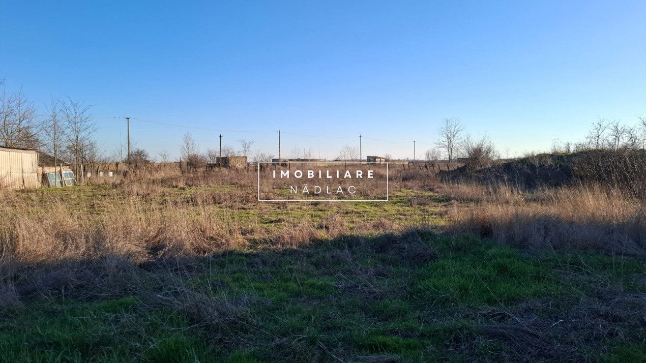 Casa mare 3 camere și teren 3600mp în Nădlac la 475m de centura spre autostradă