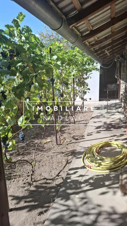 Casa moderna 2 camere + living in Nadlac