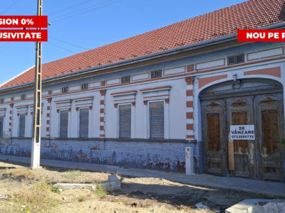 Casă cu arhitectură istorică și farmec aparte – o oportunitate unică pentru inve